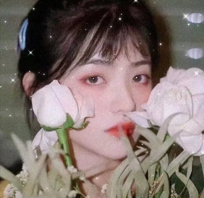 漫游的家庭